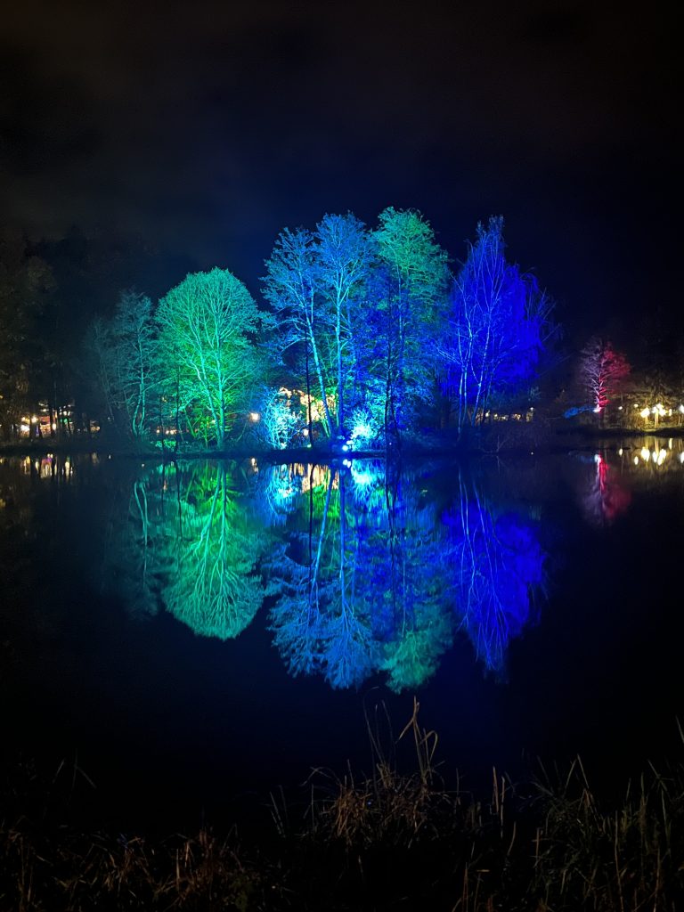 Auf der Wasseroberfläche eines Sees spiegeln sich mehrere beleuchtete Bäume in grün, gelb und blau.