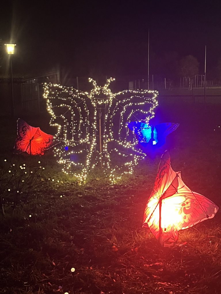 Auf einer Wiese steht ein großer Schmetterling aus Lichterketten, umgeben von kleineren Schmetterlingen.